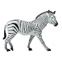 Vanishing Wildlife- Zebra Mother