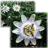 ���i�̏ڍ�