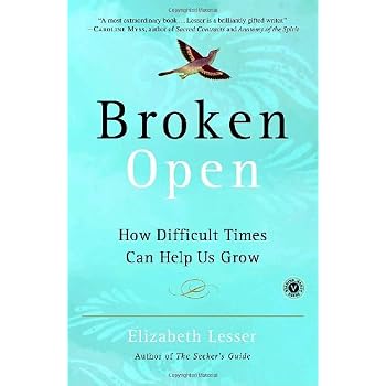 Set A Shopping Price Drop Alert For Broken Open: How Difficult Times Can Help Us Grow
