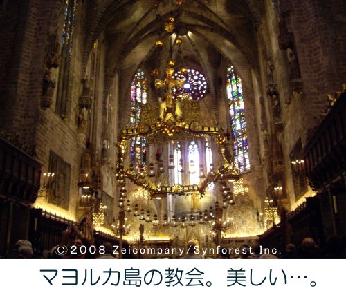 Cover image : 地中海・猫の旅 6500キロ [DVD]