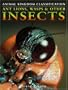 Ant Lions, Wasps & Other Insects (Animal Kingdom Classification)