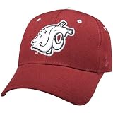 Zephyr Alabama Crimson Tide DH Fitted Hat - ALABAMA WHITE 7 1/4