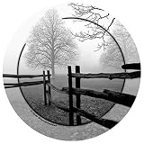 Fence in the Mist Coasters 4 pk.