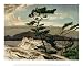 White Pine by A. J. Casson. ART PRINT Canvas Rolled.. 11.75 inches width by 9.50 inches height. Highest Quality Art Poster Print