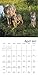 Wolves Wall Calendar (2017)