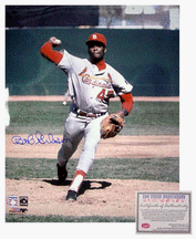 Bob Gibson St. Louis Cardinals MLB Autographed Pitching 16 x 20 Photograph (Unframed)