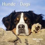 Hunde 2011 Trends & Classics Kalender
