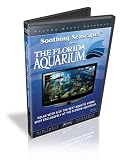 Soothing Seascapes from The Florida Aquarium