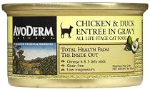 avoderm cat food