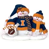 Illinois Fighting Illini 16.5x12 Table Top Snow Family - NCAA College Athletics
