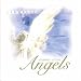Journey to the Angels