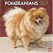 Pomeranians 2011 Square 12X12 Wall Calendar (Multilingual Edition)