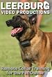 Remote Collar Training for Pet Owners DVD