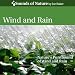Wind and Rain