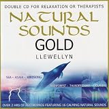 Tranquil Birdsong - Gentle Chirpings of a Summer Dawn Chorus