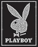 (16x20) Playboy Logo (Bling, Sequins) Art Print Poster