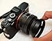 Sony LHP1 Lens Hood (Black)