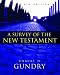 A Survey of the New Testament: 4th Edition