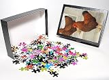 Photo Jigsaw Puzzle of A Cockerel and Hen - Gold-Laced Wyandottes from Mary Evans
