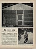 INCENDIARY BATS: Fantastic secret weapon developed during the war was designed to burn Japanese cities to the ground. ..... 1948 LIFE Magazine Article, A3425A