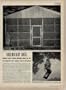INCENDIARY BATS: Fantastic secret weapon developed during the war was designed to burn Japanese cities to the ground. ..... 1948 LIFE Magazine Article, A3425A