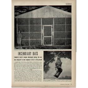 INCENDIARY BATS: Fantastic secret weapon developed during the war was designed to burn Japanese cities to the ground. ..... 1948 LIFE Magazine Article, A3425A