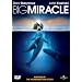 Big Miracle [DVD]