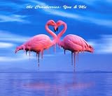 You & Me