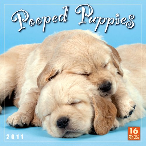 Pooped Puppies 2011 Wall Calendar (Calendar)