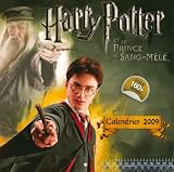 Calendrier Harry Potter 2009 + 160 Stickers