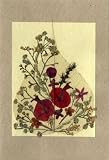 Assorted Blank Handmade Greeting Cards - Birthday, Thank You, Holiday or Any Occasion - Real Flower Greeting Card - Set of 3