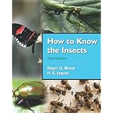 how to know the insects