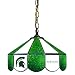 Michigan State Spartans 14 Swag Lamp