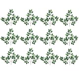12 Pieces of 22" Artificial Camallia Sprays with Flowers _Cream