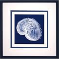 Shells on Blue B Wall Art - 18x18"