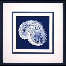 Shells on Blue B Wall Art - 18x18"