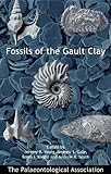 Fossils of the Gault Clay