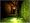 S.T.A.L.K.E.R. Shadow of Chernobyl (PC DVD)