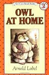 Owl at Home