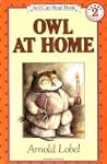 Owl At Home