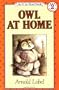 Owl At Home