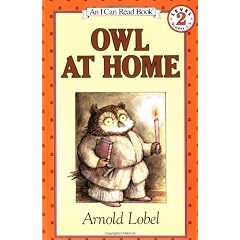 Owl At Home