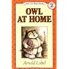 Owl At Home