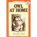 Owl At Home