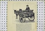 1887 VICTORIA CROSS HERO MAN JOHN DEVANE DONKEY CART