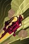 Iron Man: Enter The Mandarin