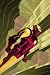 Iron Man: Enter The Mandarin TPB (Iron Man (Marvel Comics) (Quality Paper))