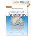 Color Atlas of Anatomy: A Photographic Study of the Human Body (Point (Lippincott Williams & Wilkins))