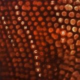 Scotty hard's Radical Reconstructive Surgery-John Medeski, Matthew Shipp