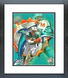 Dan Marino Miami Dolphins Framed Picture 8x10